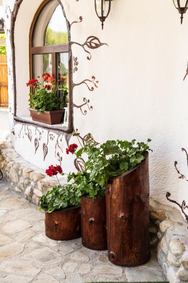 Satul Cu Flori Hotel Buzau Exterior photo